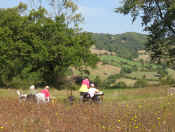 im-garten.jpg (239244 Byte)