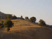 umliegende-landschaft2.jpg (138684 Byte)